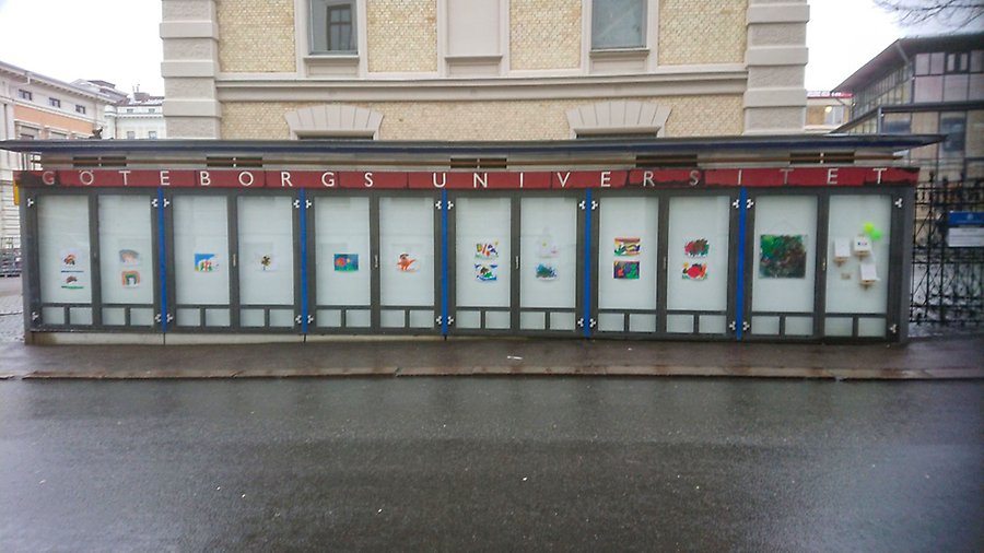 Målningar uppsatta i fönster på Göteborgs Universitet