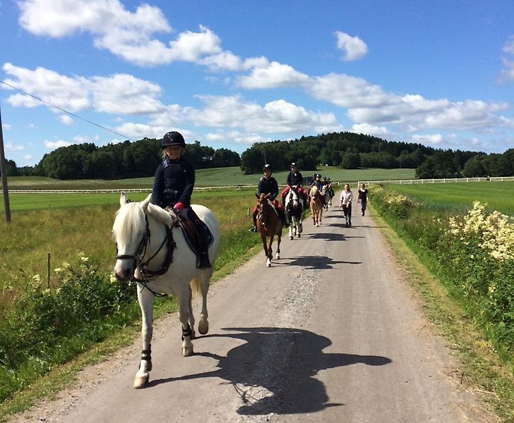 Ridskoleelever rider på hästar på rad på en grusväg en solig sommardag.