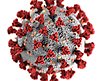 Bild på modell av coronaviruset