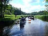 Foto på personer som paddlar kanot i ett smalare vattendrag omgivet av vass och skog.