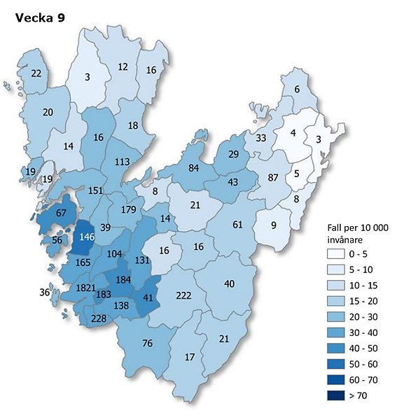 Kartbild vecka 9 över Västra Götaland som visar antal rapporterade smittfall med covid-19 per kommun (siffror) - samt antal fall per 10 000 invånare (färgskala).