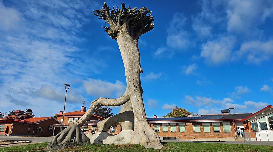 Bild på skulpturen som består av den gamla eken utan bark med rötterna riktade upp mot himlen och kronan ner mot marken, fäst i tre granitblock.