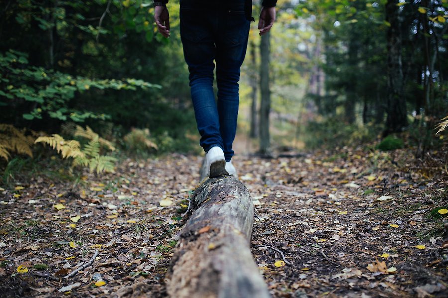 Foto på en person bakifrån som går på en stock på en gångstig i skogsmiljö.