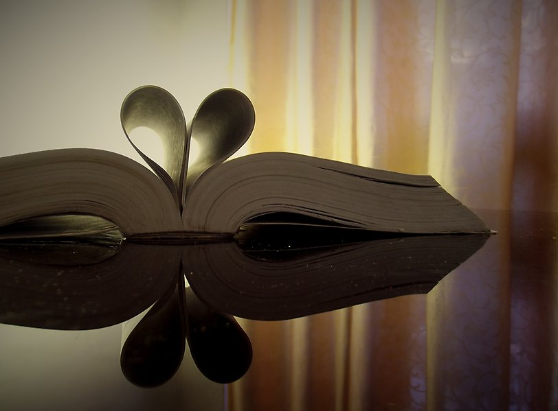 På ett skinande rent bord ligger en bok uppslagen med två sidor invikta till mitten så att de bilder ett hjärta.