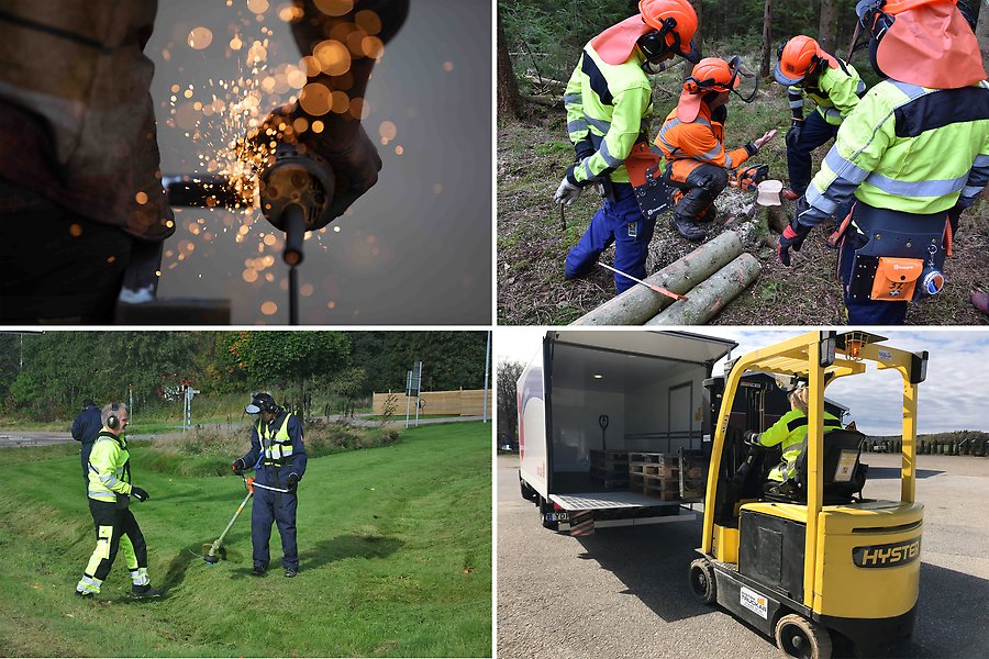 Ett kollage med bilder på gnistor när någon sågar, fyra personer som sågar med motorsåg i några trädstockar, en person som kör med en grästrimmer och en truck som lastar på en lastpall på en lastbil.