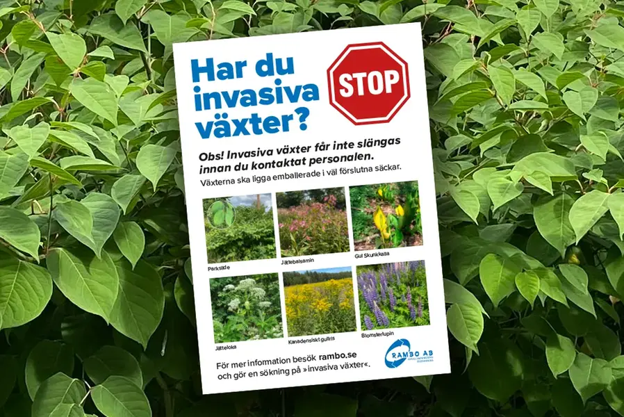Dekorationsbild, information från Rambo om växtavfall.