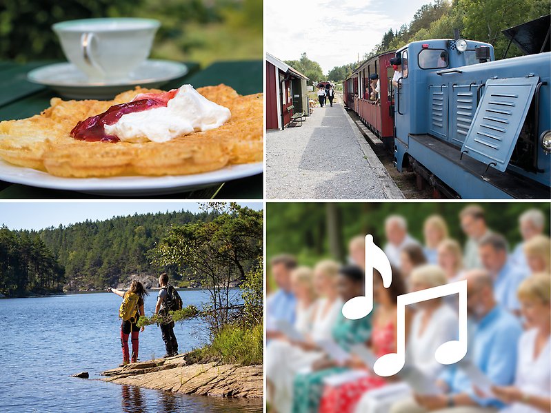 Collage över sommaraktiviteter