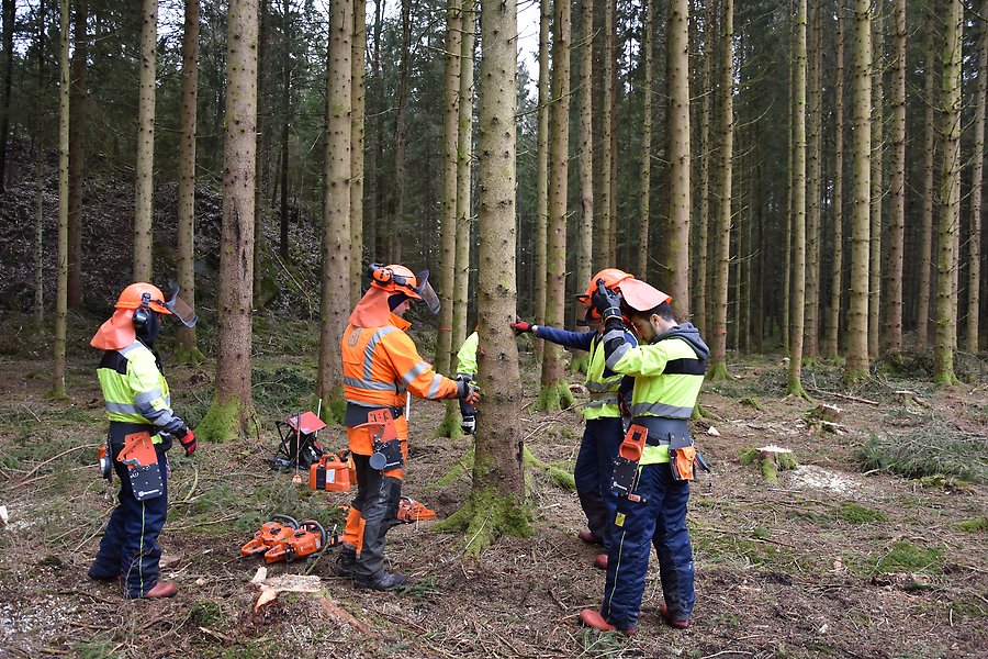 bild på fyra personer i varselkläder ute i skogen. 