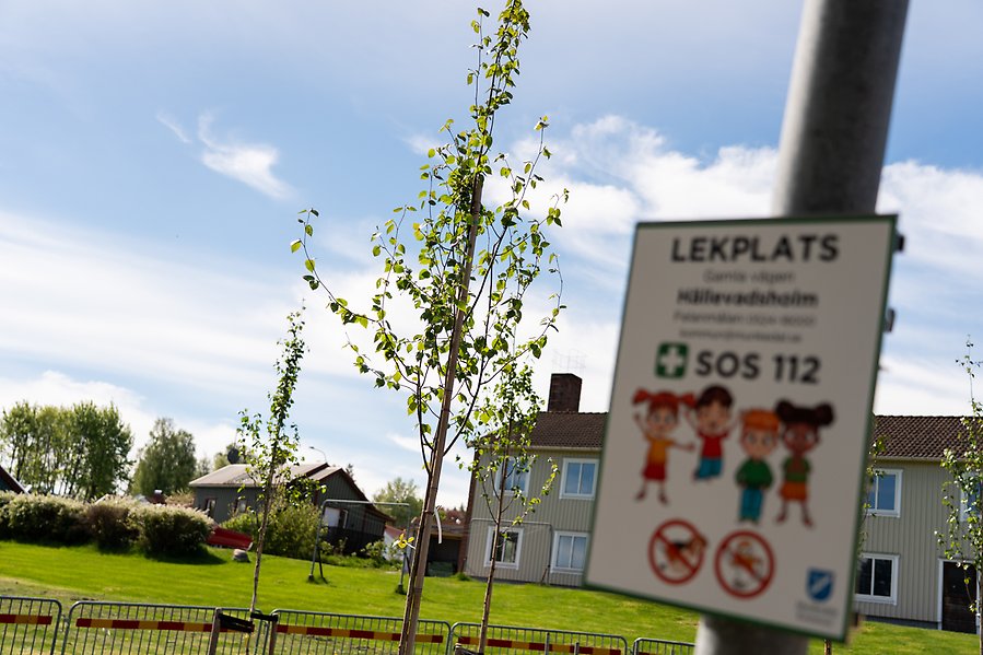Björkar mot en sommarhimmel. I förgrunden en skylt med texten Lekplats.