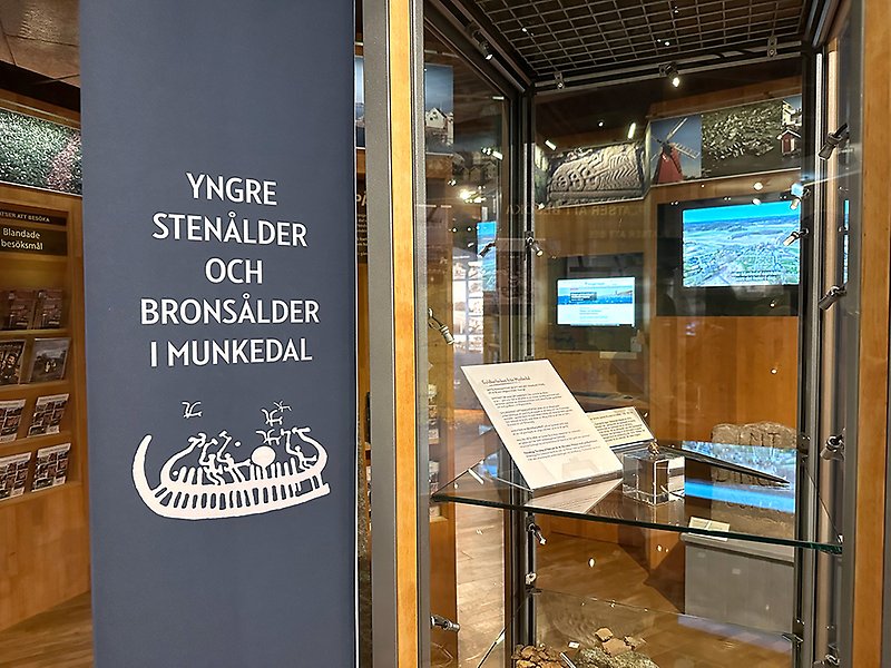 Utställningsmonter stenålder