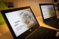 Bildspel på dator om havet