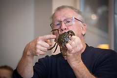 En person förevisar en krabba