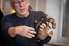 En person förevisar en hummer