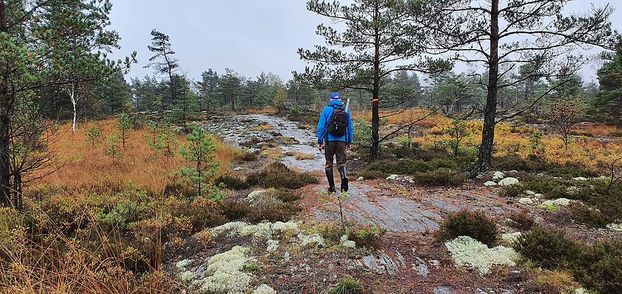 Vandrare på stig