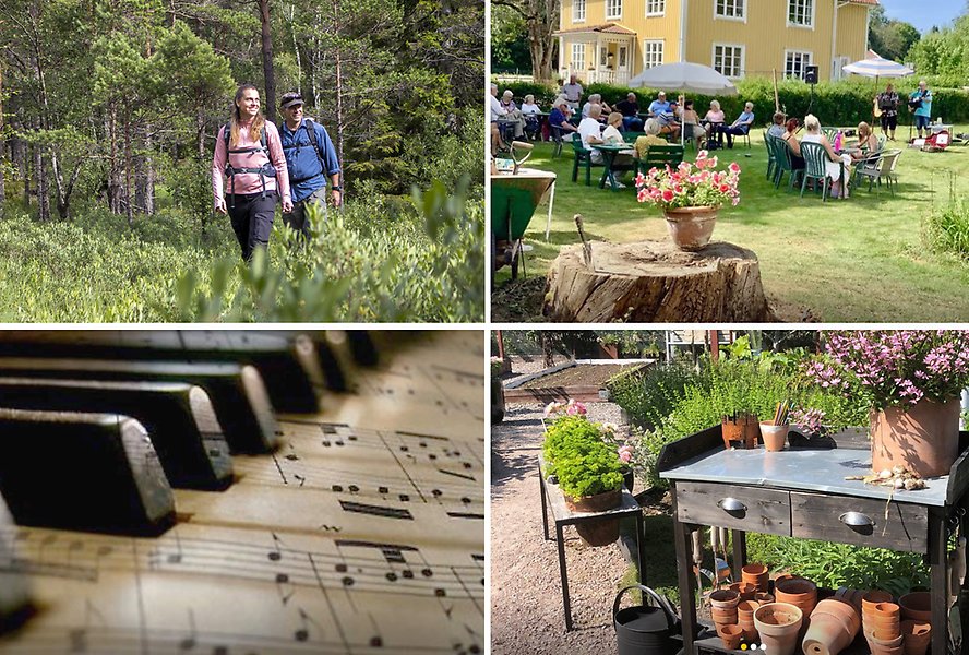 Bildcollage med aktiviteter som vandring, musikframträdande och trädgårdscafé