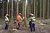bild på fyra personer i varselkläder ute i skogen. 