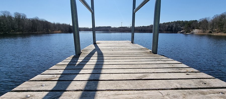 Vy från den högsta nivån i ett hopptorn vid en sjö. Både himmel och sjö är klarblå, vattnet mörkare blått. Vid kanten av sjön syns vårkala träd.