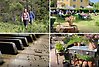 Bildcollage med aktiviteter som vandring, musikframträdande och trädgårdscafé