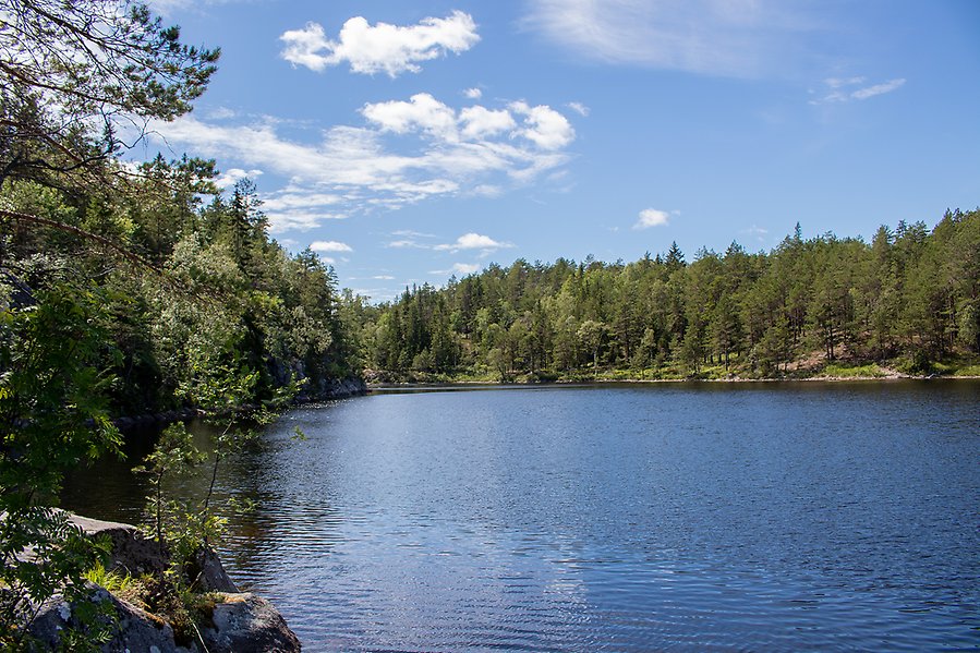 Insjö med skogbeklädda sidor