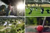 Ett collage med fyra bilder. Ett band som spelar, hundar, en golfboll och en klubba samt översiktsbild av en park.